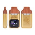 Big chief disposable duo v2