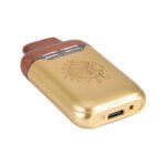 Big chief disposable duo v2